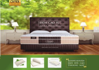 Đệm cao su Dreamland tốt không?