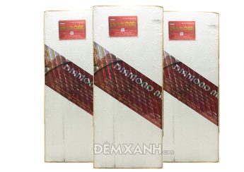 Địa chỉ mua đệm cao su khoa học uy tín tại Hà Nội