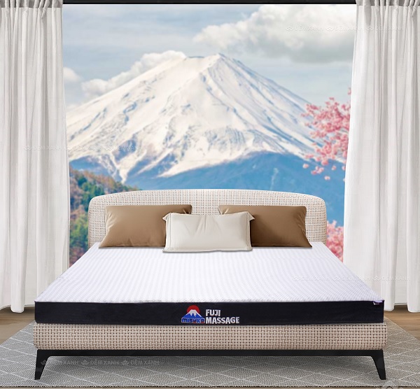Đệm Foam đa tầng Nhật Bản Misuko Fuji Massage
